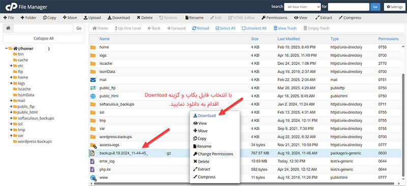 دانلود فایل بکاپ در هاست سی پنل